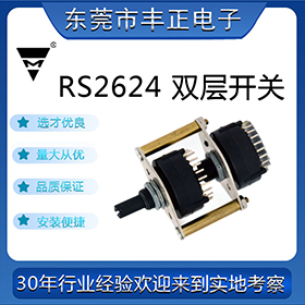 RS2624p_P(gun)